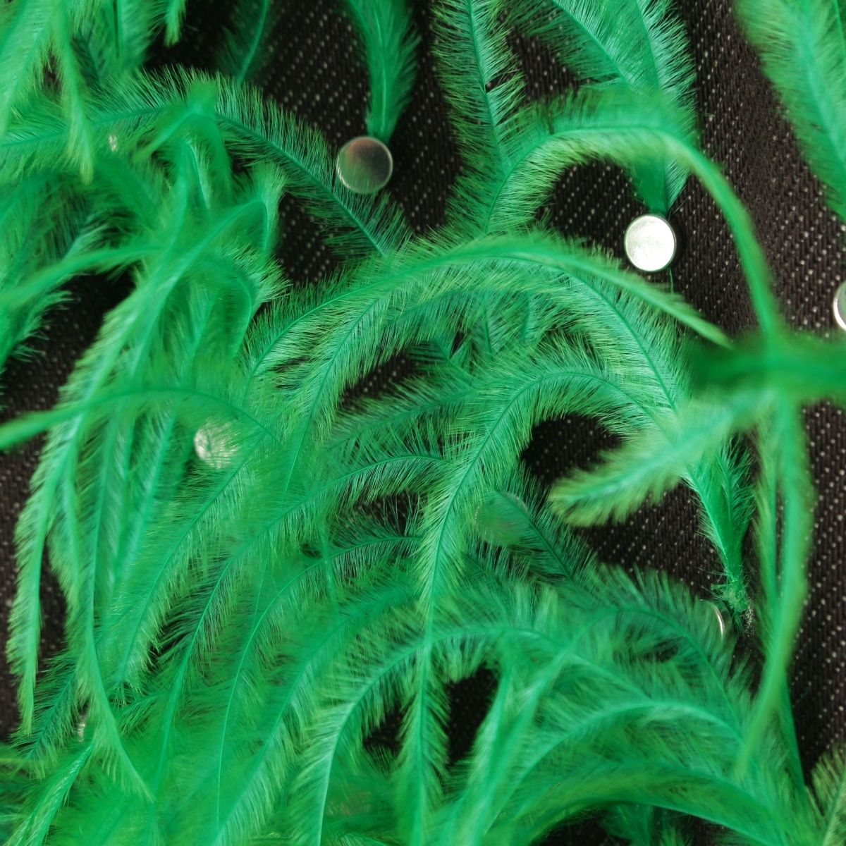 Bottega Veneta Feather Jeans Denim Pants Black Green 36 — view 8