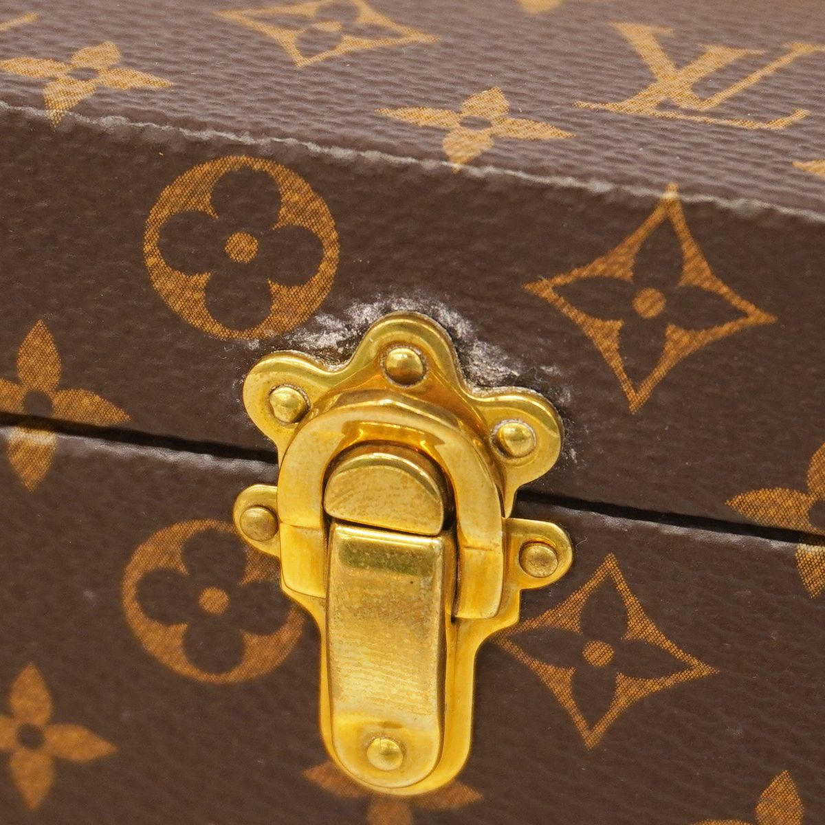 Louis Vuitton Trunk Case Monogram Malfleur Brown — view 8