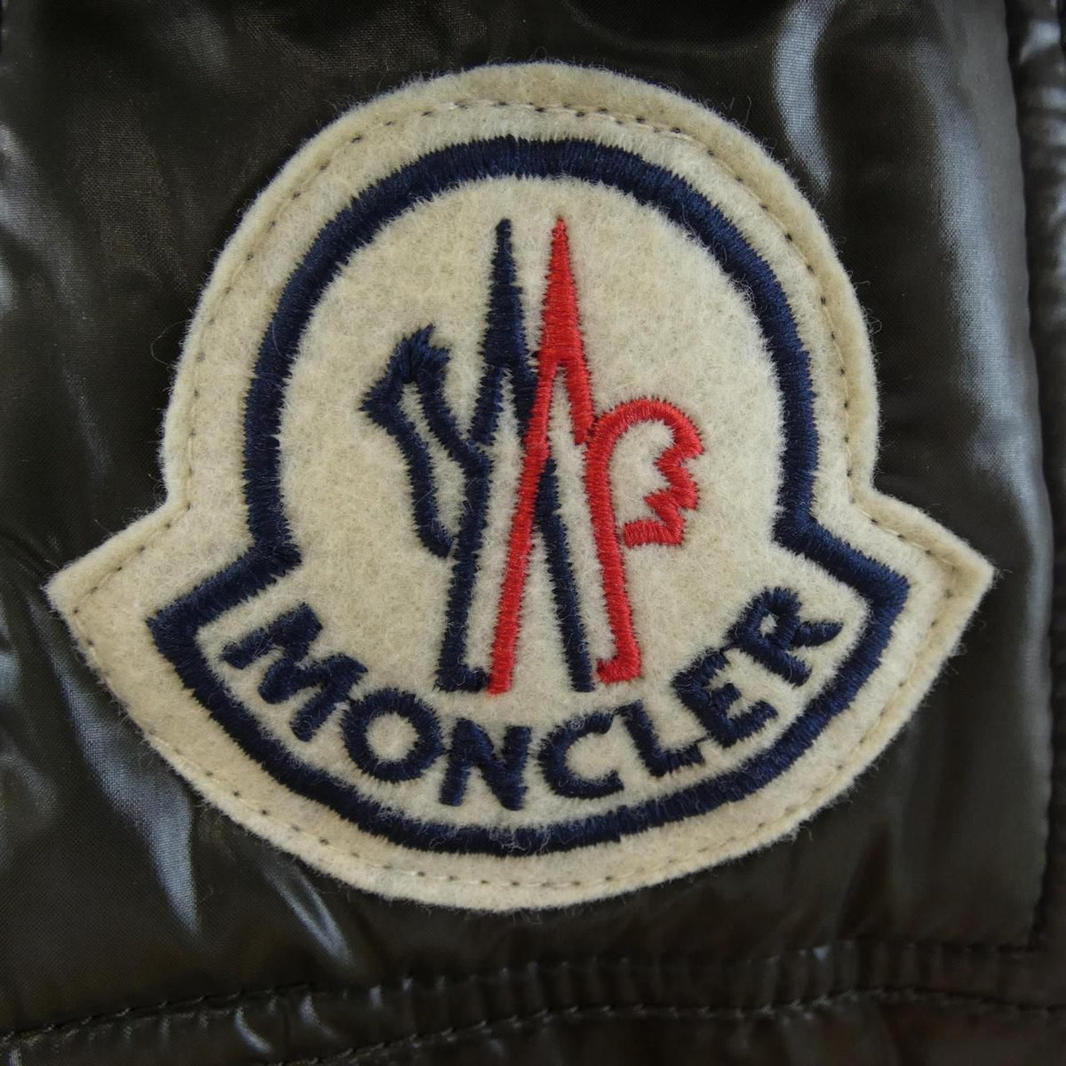 Moncler 45308/50 Down Jacket — view 7