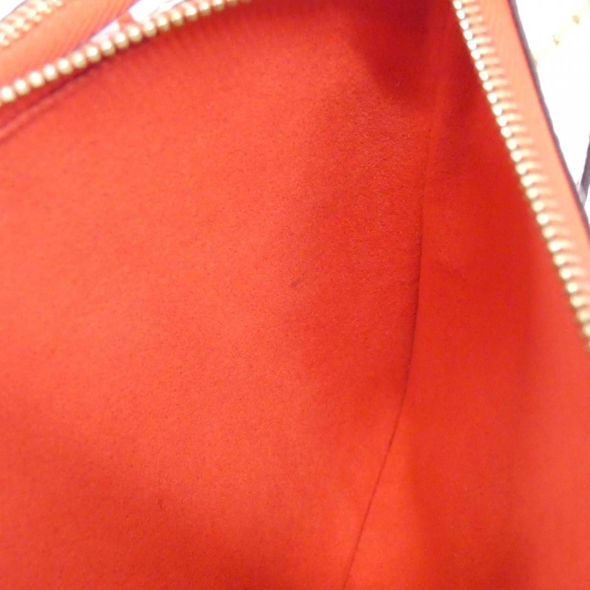 Louis Vuitton LV Crafty Pochette Double Zip Shoulder Bag — view 10