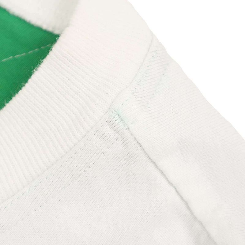 Bottega Veneta 2 Tone Crew Neck T-Shirt 702429 V16e0 White Green XS