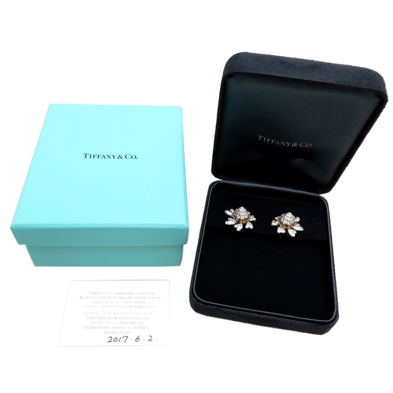 Tiffany & Co Schlumberger Earrings