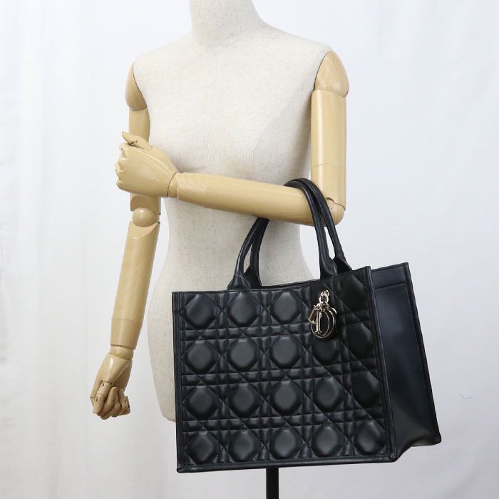 DIOR Canage Medium Book Tote M1324 OWHP M900 Tote Bag Canage Medium Tote Bag