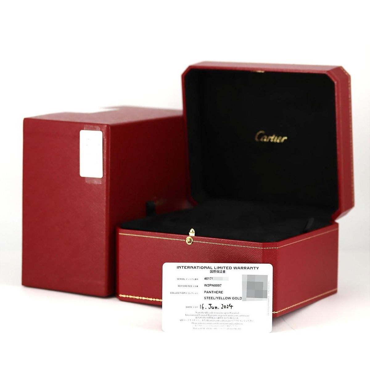 Cartier Panthere de Cartier MM Ssxyg Quartz — view 9