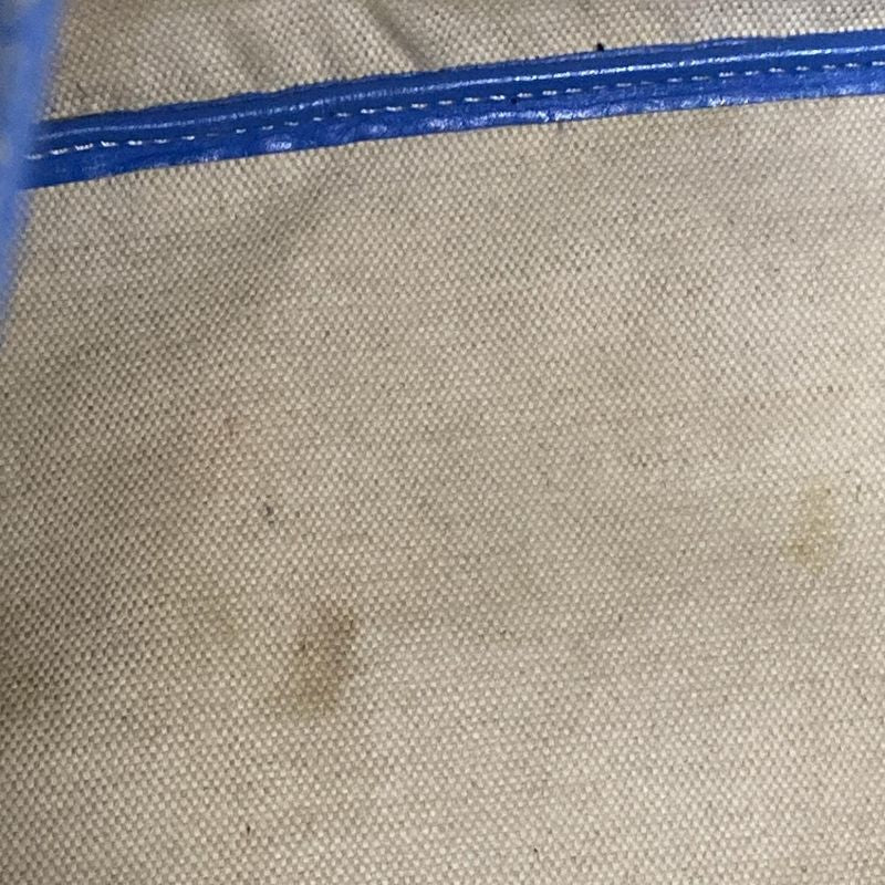 Goyard Saint Louis PM Blue×white×multi Leather