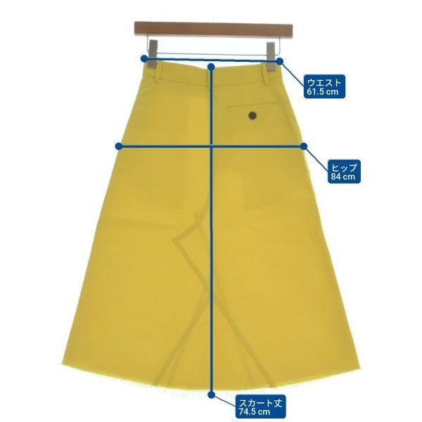 Loewe Knee Length Skirt — view 6