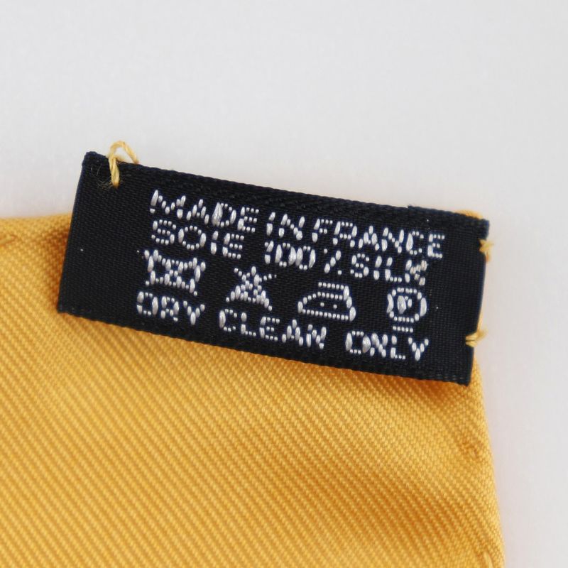 Hermes Carré 90 Terres Precieuses (precious Place) Silk Orange Women's Scarf