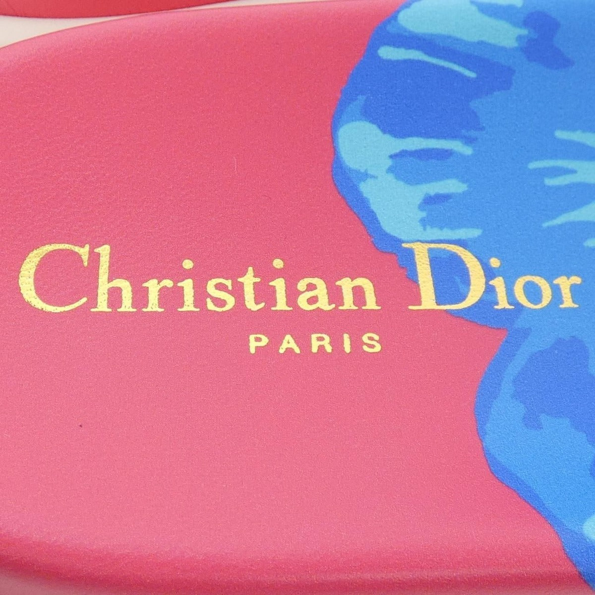 Dior Dway D-Flower Pop EM Sandals Black Blue Pink — view 6