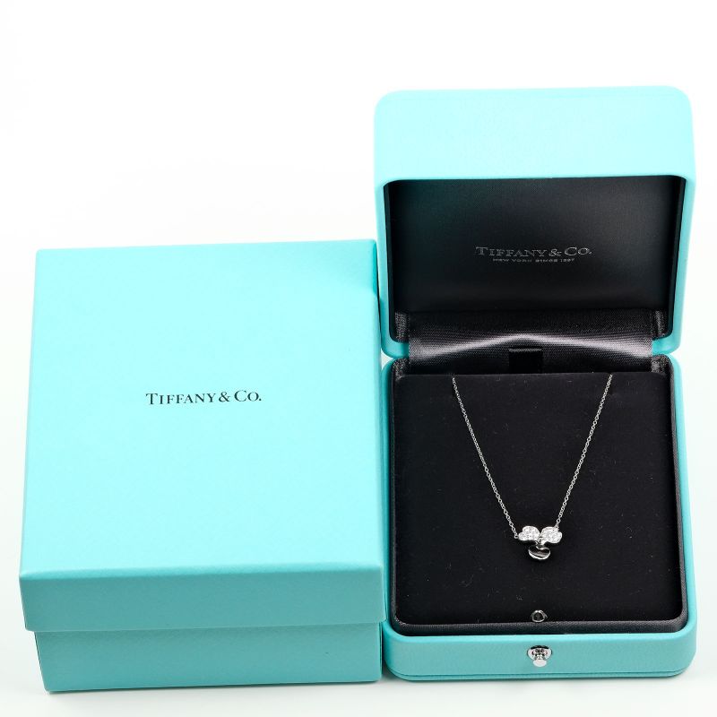 Tiffany & Co Paper Flower Pt950platinum X Diamond Ladies 3.56g Necklace
