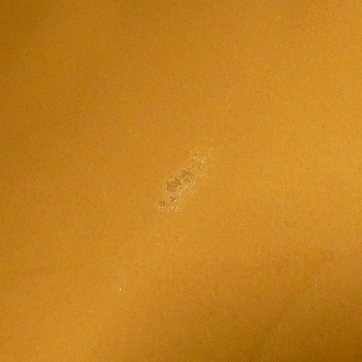 Celine Bag Handbag Gold — view 10
