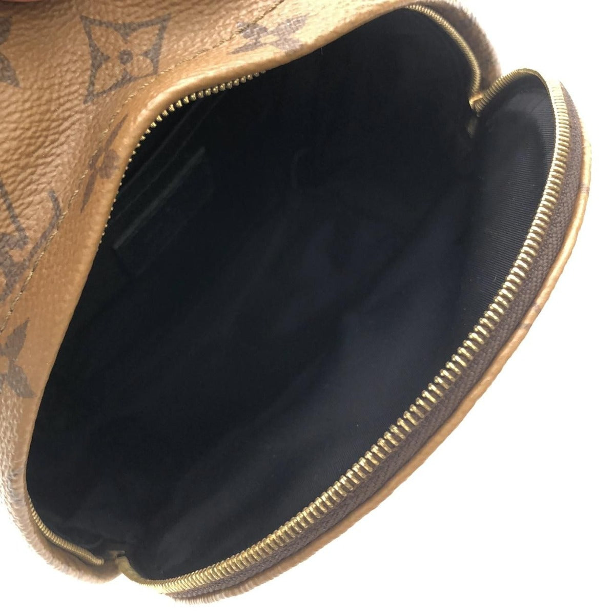 Louis Vuitton Monogram Reverse Palm Spring Backpack Mini Sac — view 6