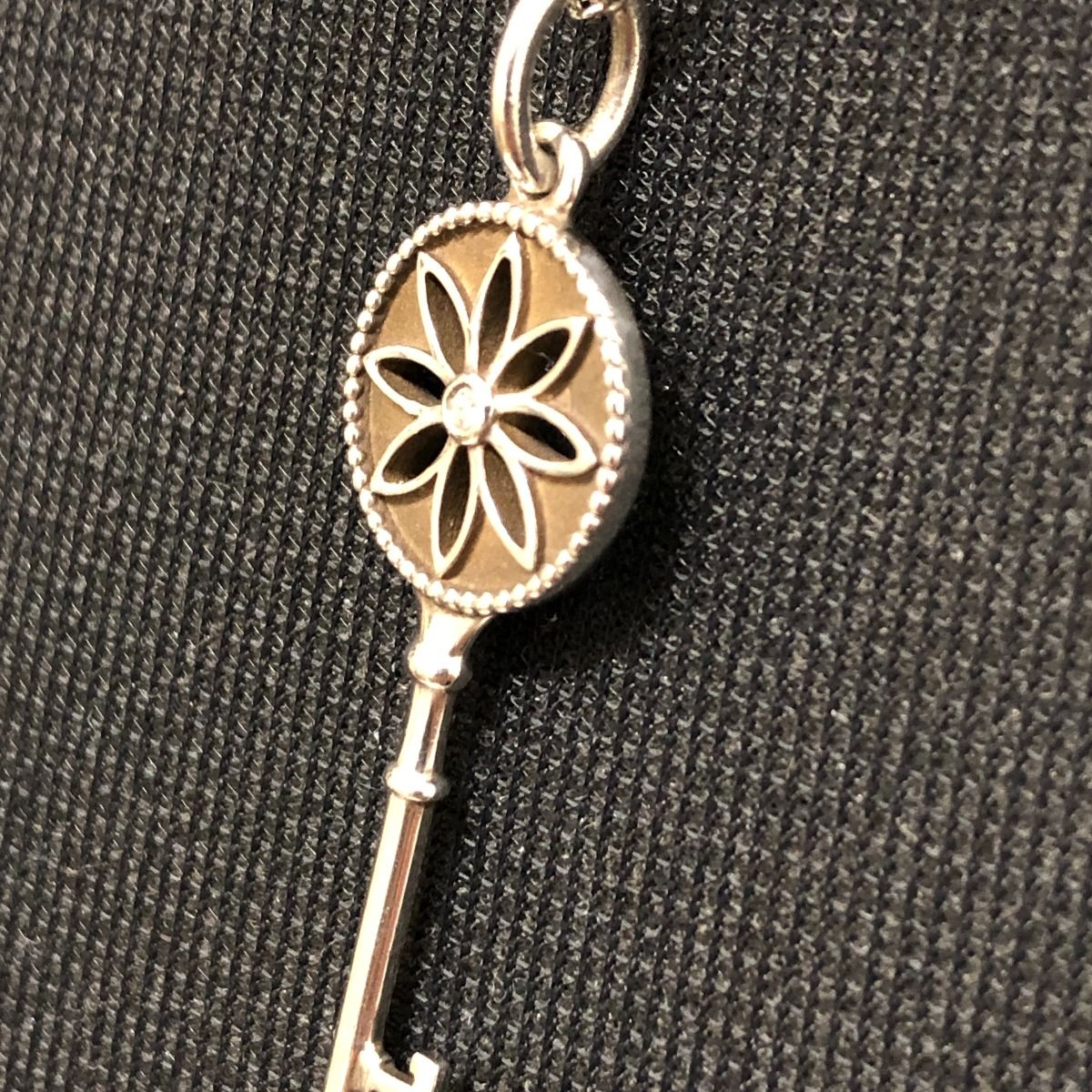 Tiffany & Co Tiffany Necklace Daisy Flower Silver925 46cm (18.11in)