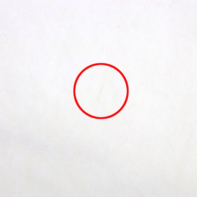 DIOR Cactus Jack Travis Scott DIOR Homme Cactus Jack Travis Scott 193d011ey512