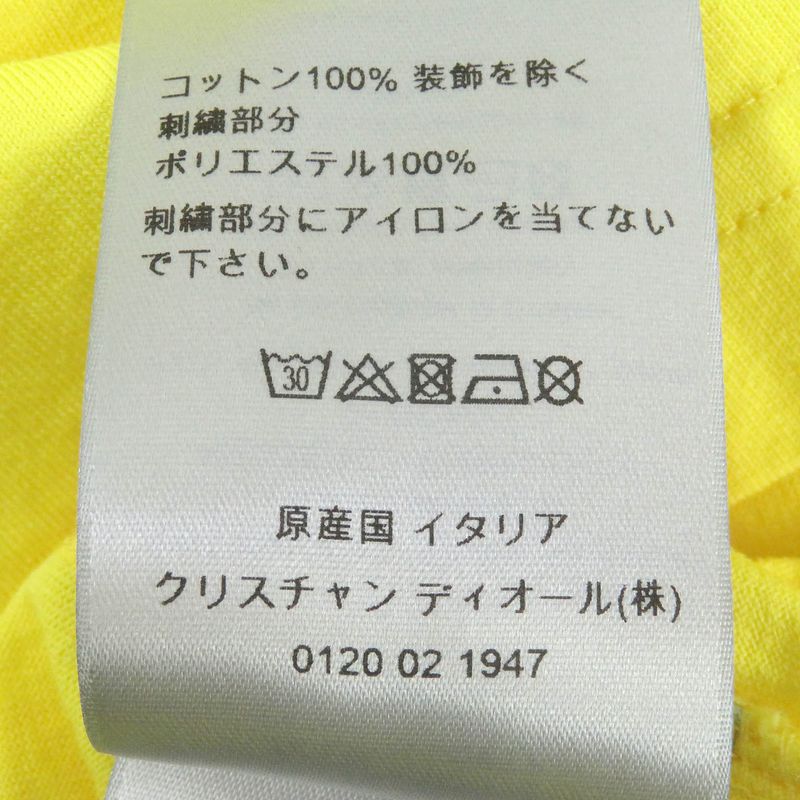 DIOR Homme 21AW 143j685c0677 Peter Doig Collaboration Logo Embroidery Short