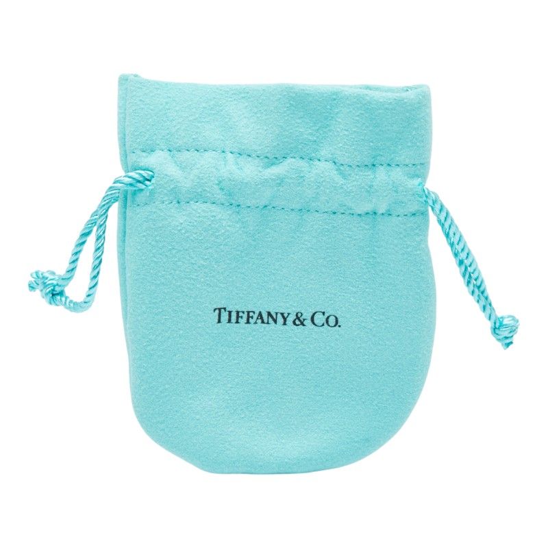 Tiffany & Co T&CO 1837 Oval Sv925 Silver Ladies Tiffany & Co