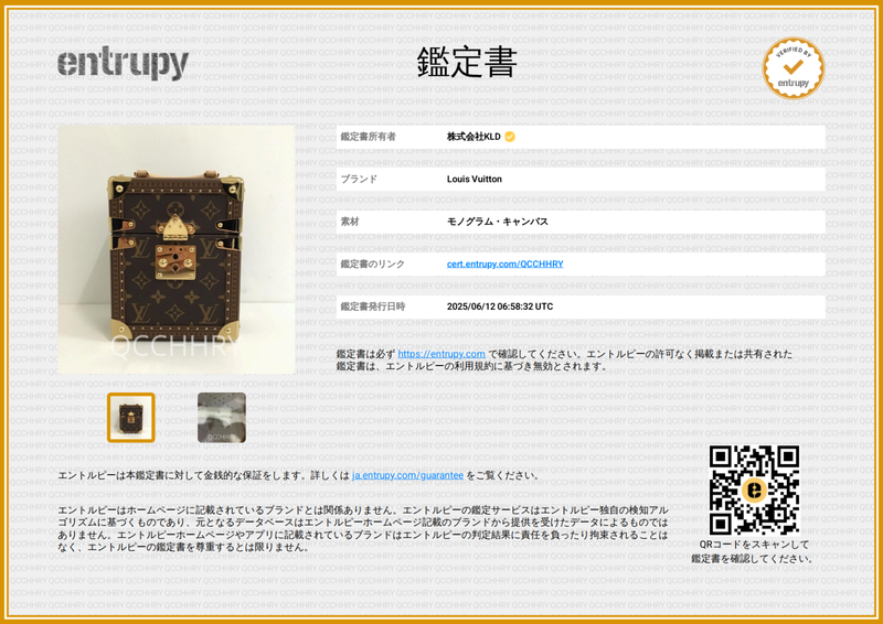 Louis Vuitton Monogram 2way Camera Box Shoulder Bag - Brown - Women