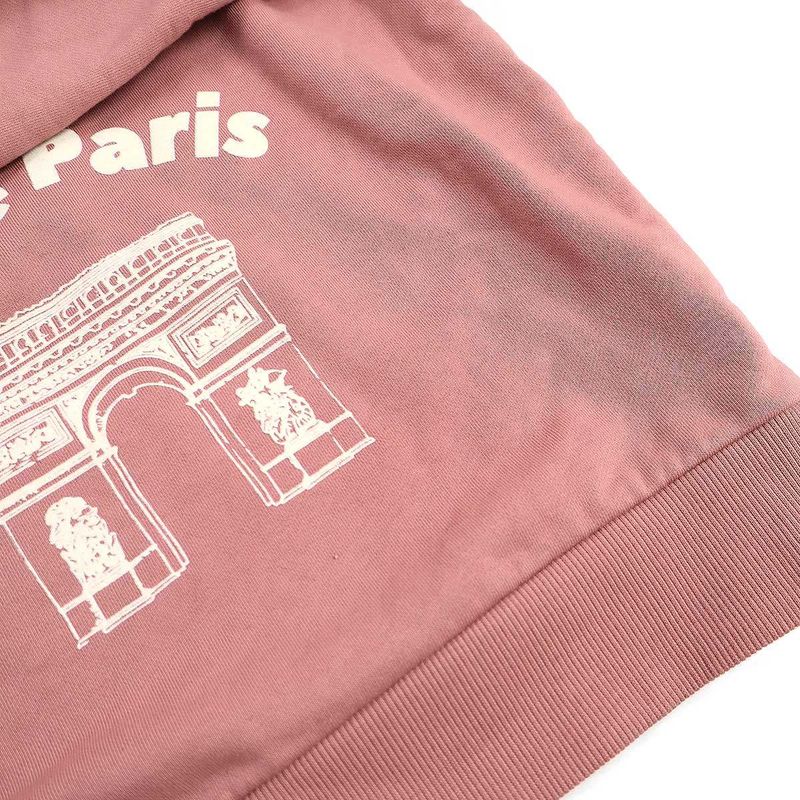 Celine 24ss Arc de Triomphe Sweatshirt 2y88d670q.25pu Pink S