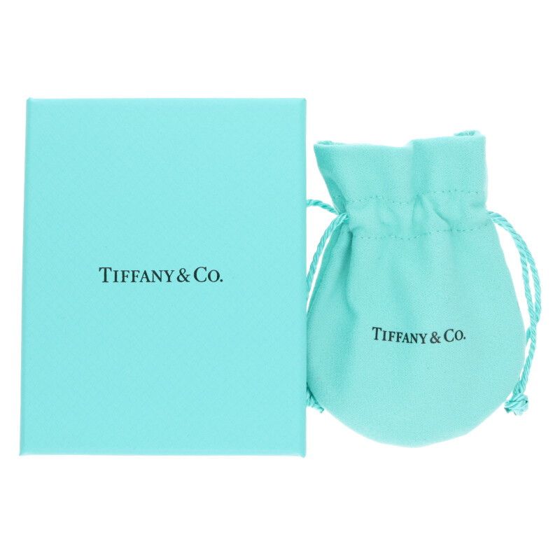 Tiffany & Co Atlas X Closed Circle Pendant Necklace Men's