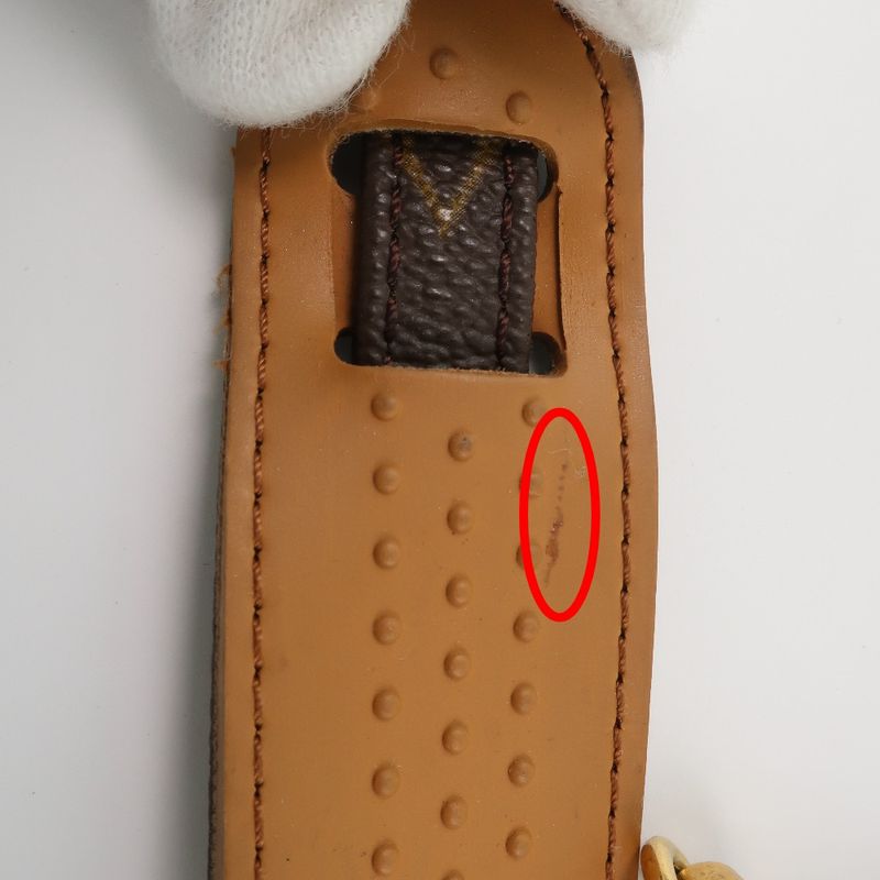Louis Vuitton Monogram Canvas Brown Unisex Shoulder Strap