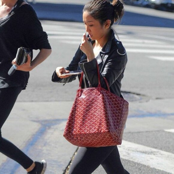 Goyard St Louis PM Red Shoulder Tote Bag & Pouch Goyardine Saint Louis Purse