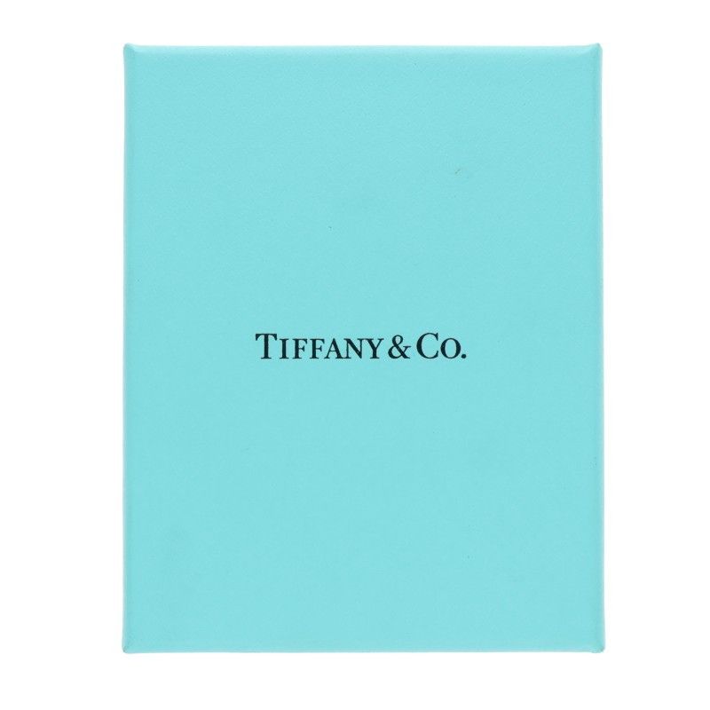 Tiffany & Co Hardwear Hardware Medium Link Silver Bracelet Men's L