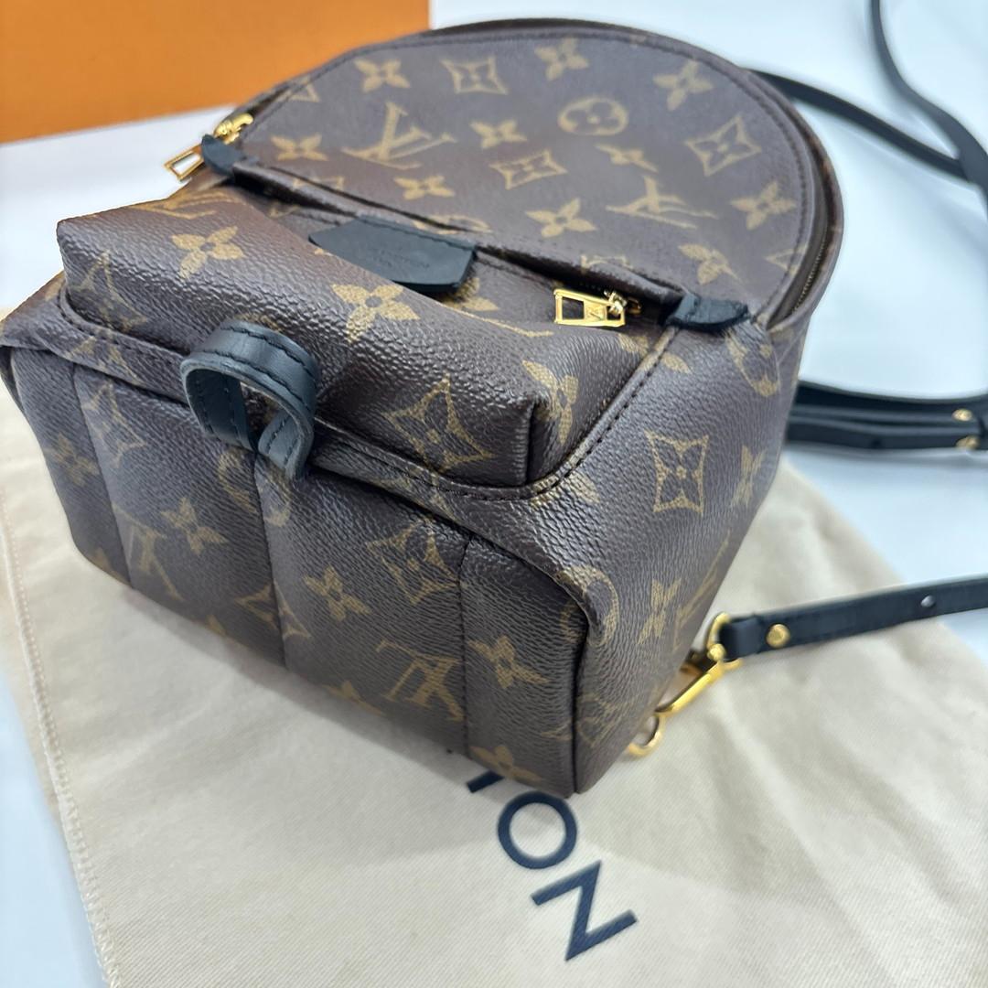 Louis Vuitton Palm Springs Mini Backpack Monogram — view 9