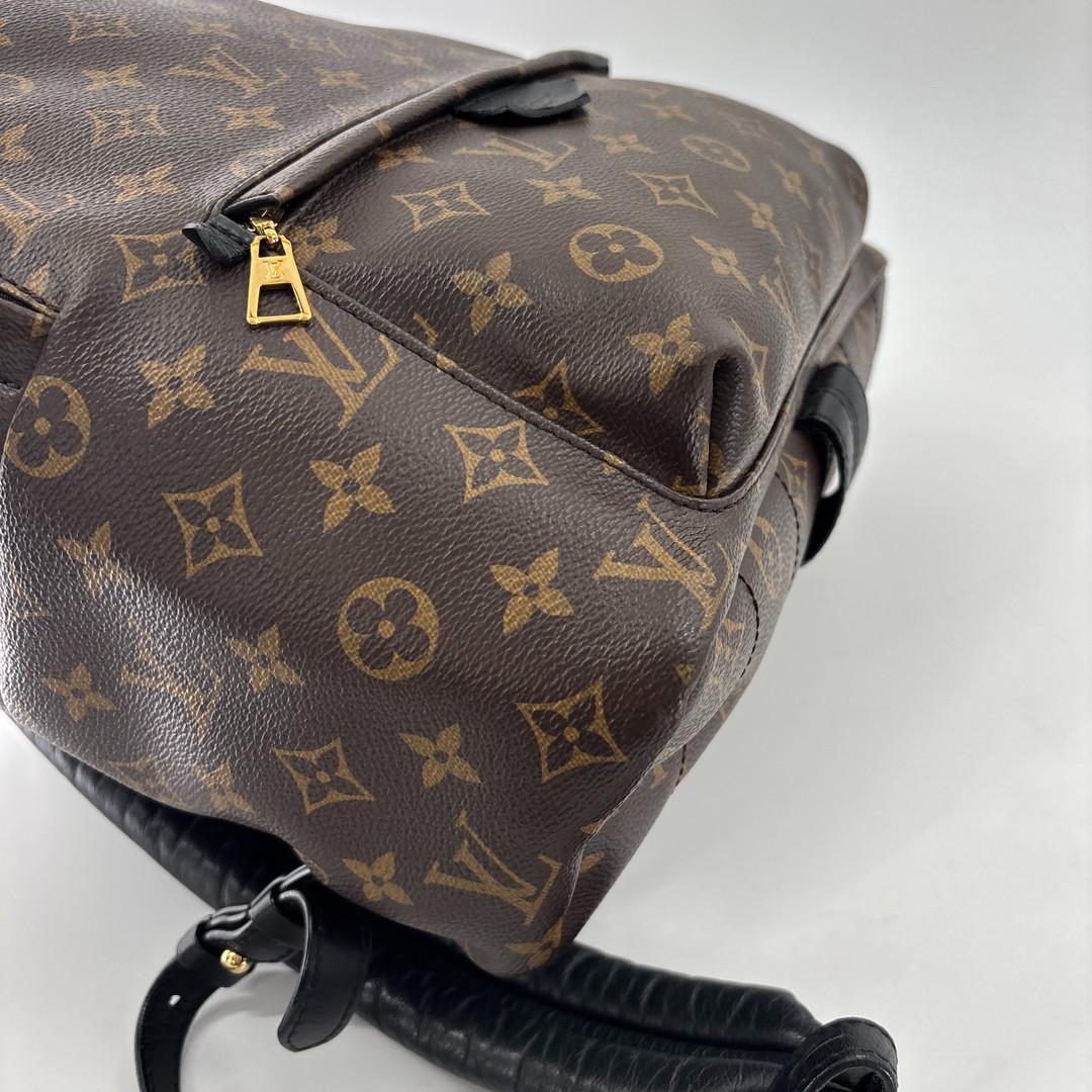 Louis Vuitton Monogram Palm Springs MM Backpack — view 8
