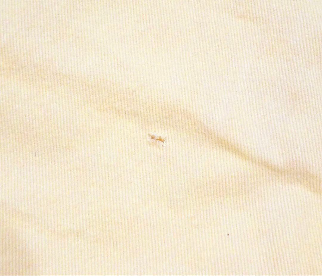 Louis Vuitton Storage Bag Pegase Size Carry Bag Size