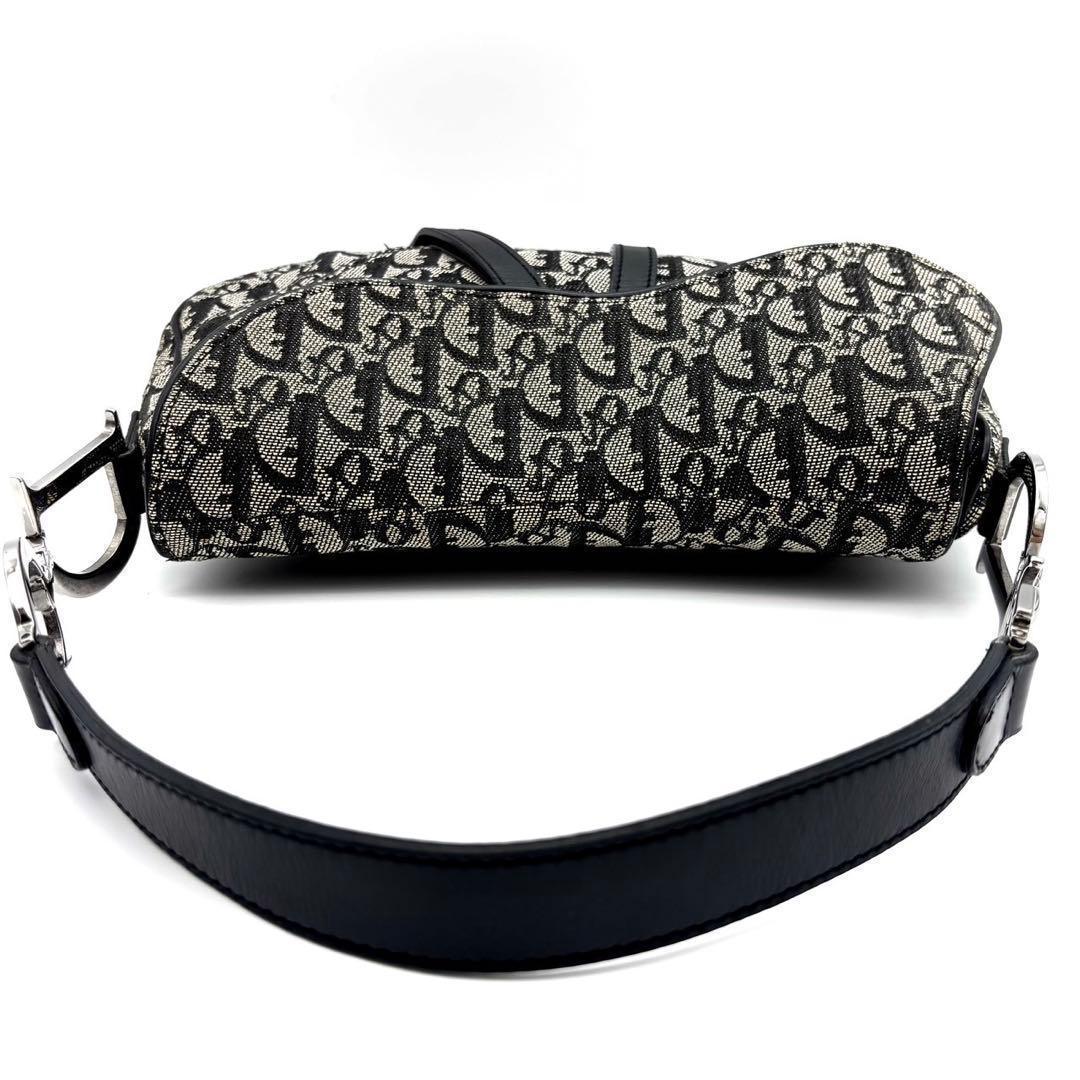 Dior Trotter Double Saddle Bag Gray — view 8