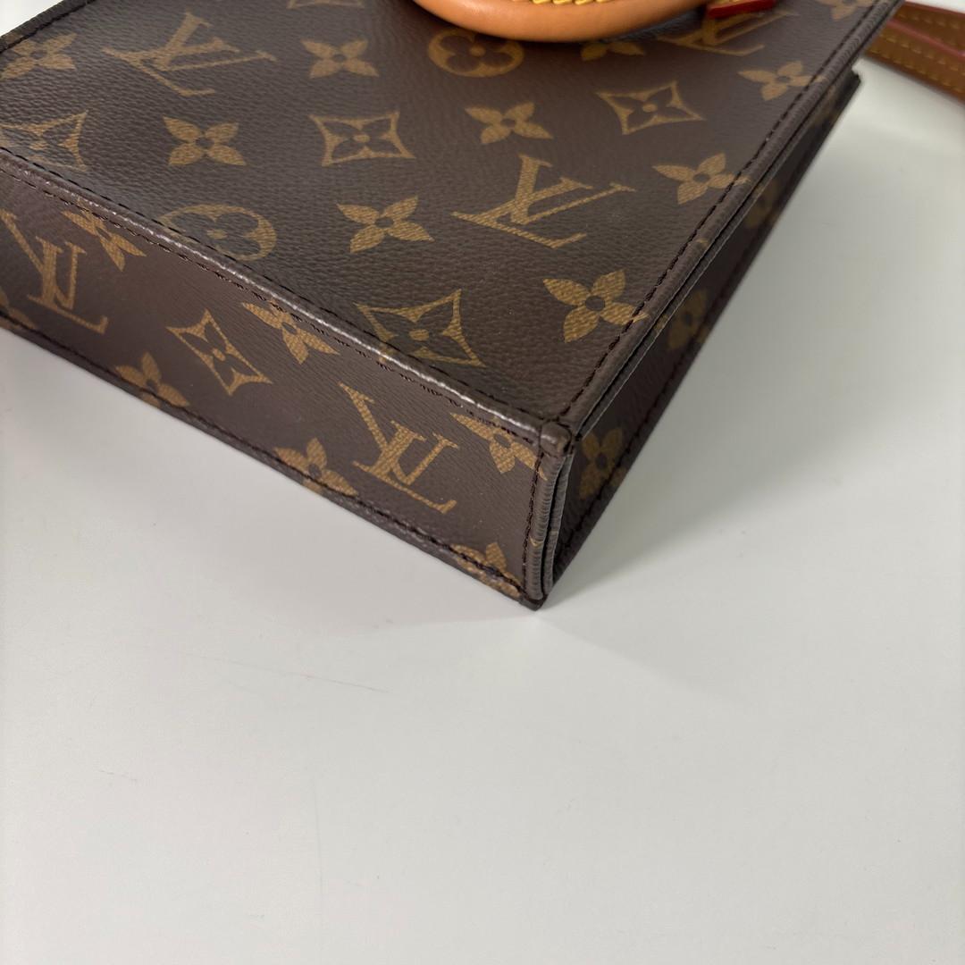 Louis Vuitton IC Monogram Petite Sac Plat Shoulder Bag — view 8
