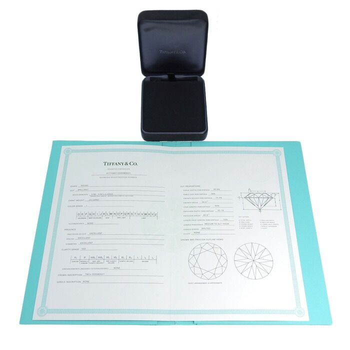 Tiffany & Co Tiffany & Co By-the-yard Diamond Necklace Pt950 Platinum Diamond