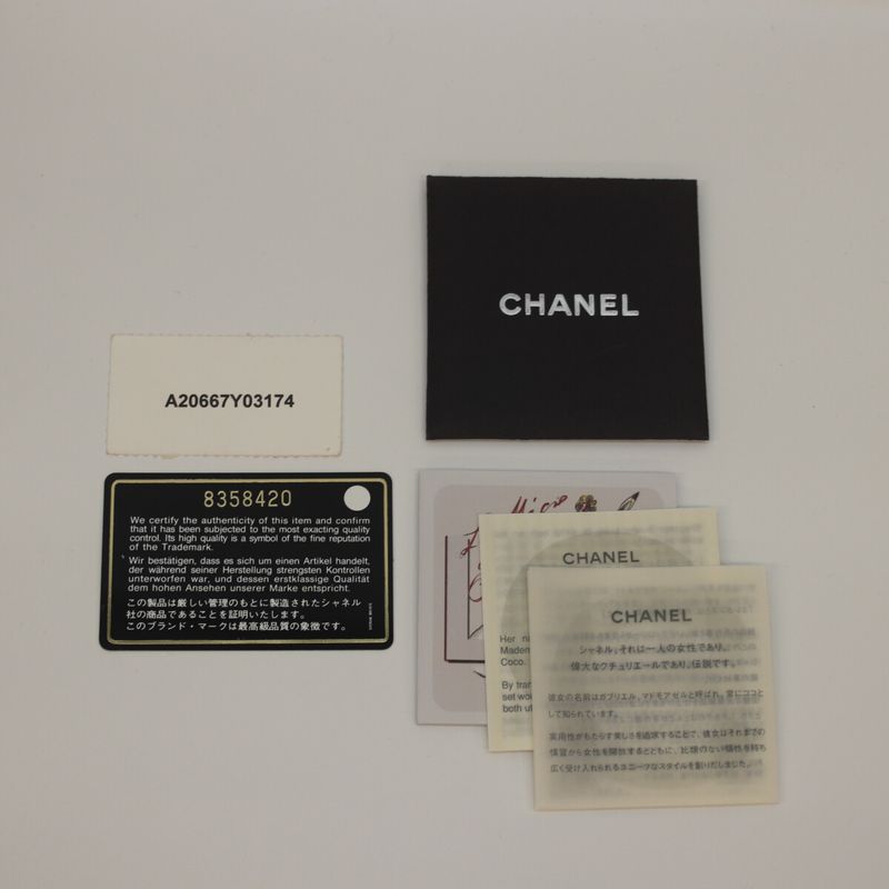 Chanel No 8 Brown Wild Stitch W Zipper Mini Boston Handbag Boston Bag Women