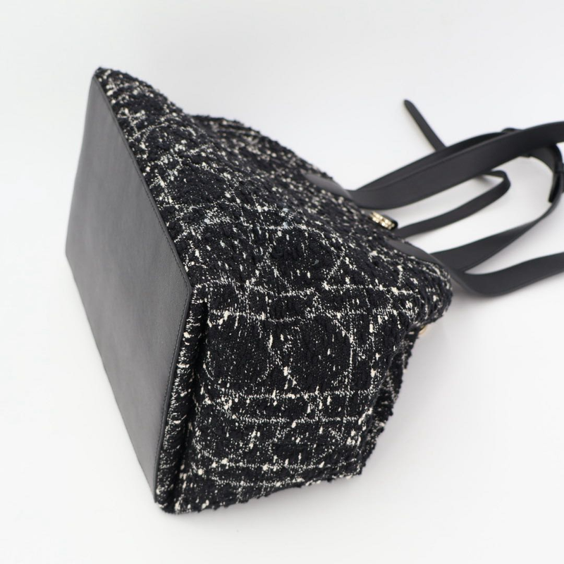 Christian DIOR Handbag Canage Toujours