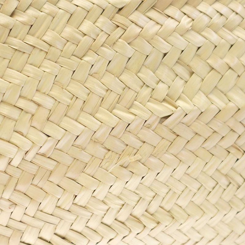 Celine Triomphe Medium Classic Pannier Basket Tote Bag Beige Brown