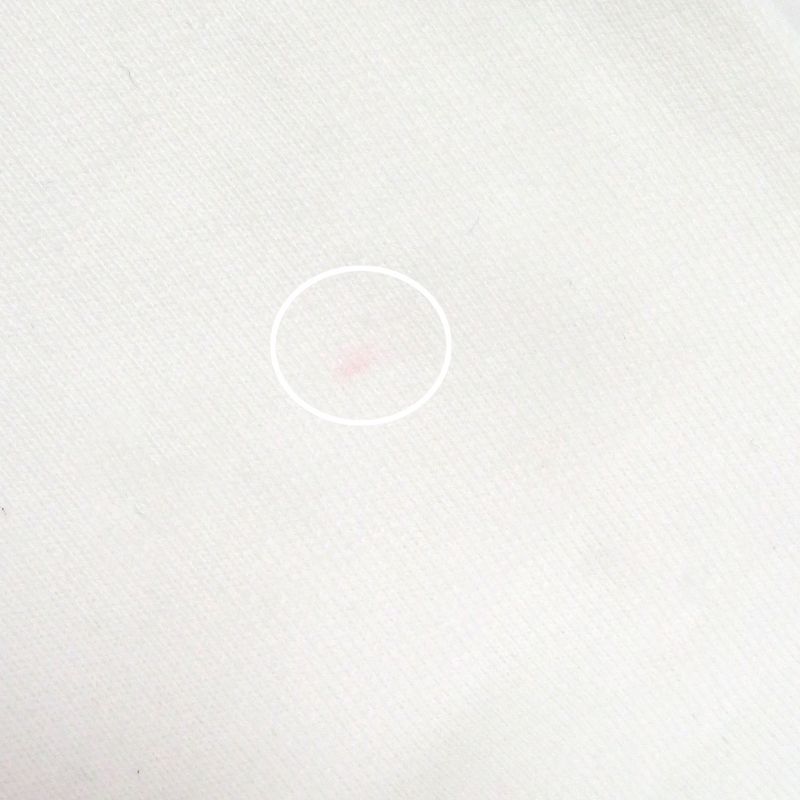 DIOR Homme 23SS 313j699a0531 Logo Embroidery Sweatshirt White M Made In Italy