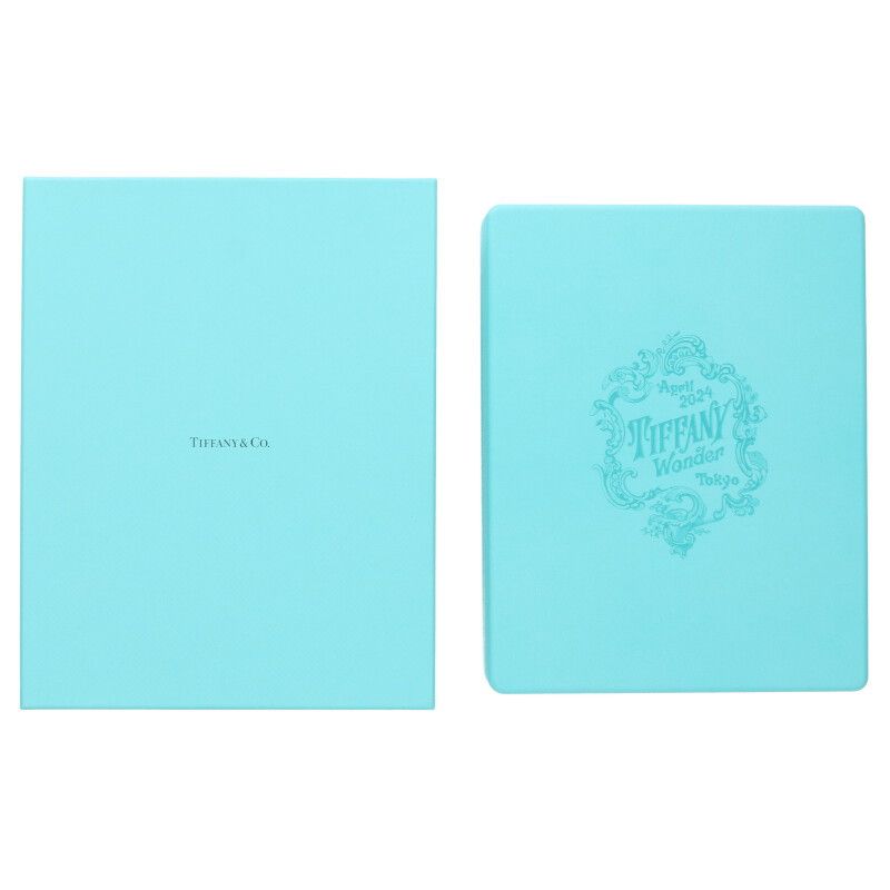 Tiffany & Co X Pharrell Williams Titan 18K Yellow Gold Titanium Diamond