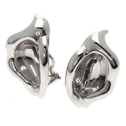 Tiffany & Co. Leaf Motif Earrings