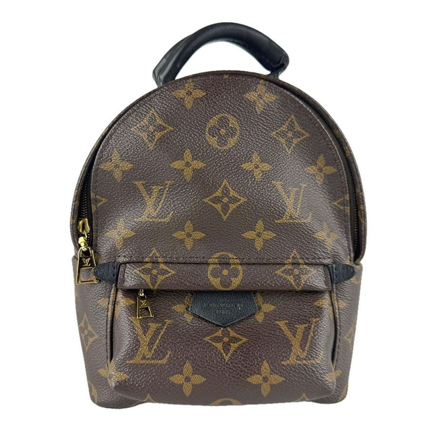 Louis Vuitton Backpack Palm Springs Mini
