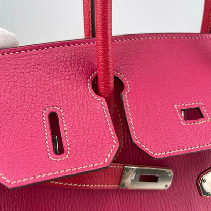 Hermes Birkin 30 Handbag Togo Framboise — view 11