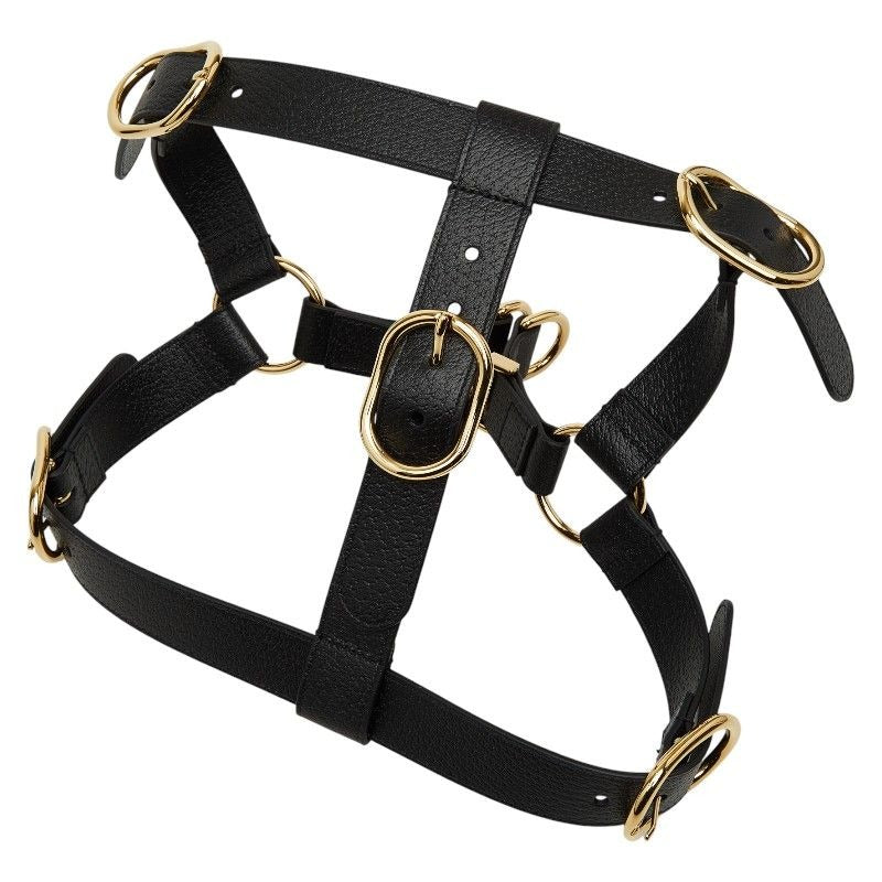 Gucci Interlocking G Pet Dog Harness Size XL Black Leather