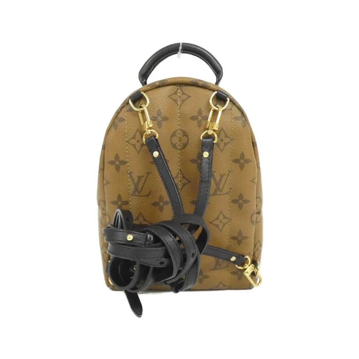 Louis Vuitton Monogram Reverse Palm Springs Backpack Mini Rucksack — view 2