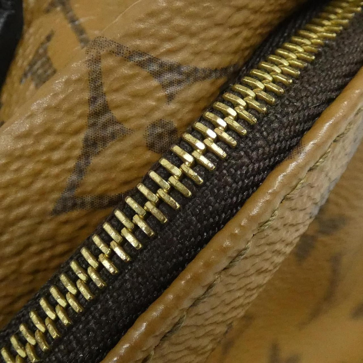 Louis Vuitton Monogram Reverse Palm Springs Backpack Mini Rucksack — view 4