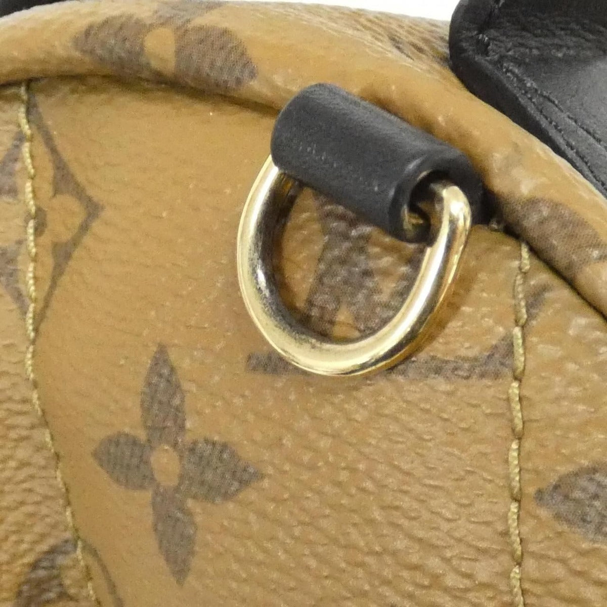Louis Vuitton Monogram Reverse Palm Springs Backpack Mini Rucksack — view 6
