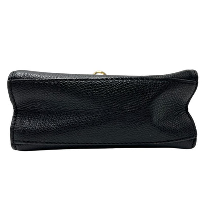 Celine Handbag Leather Gold Hardware Leather Gold Hardware Mini Old Black