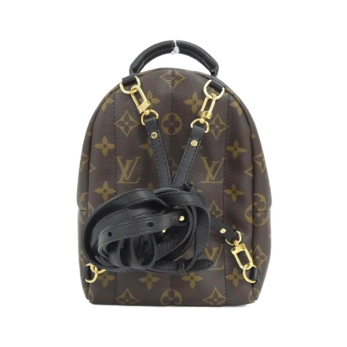 Louis Vuitton Monogram Palm Spring Backpack Mini Sac — view 2