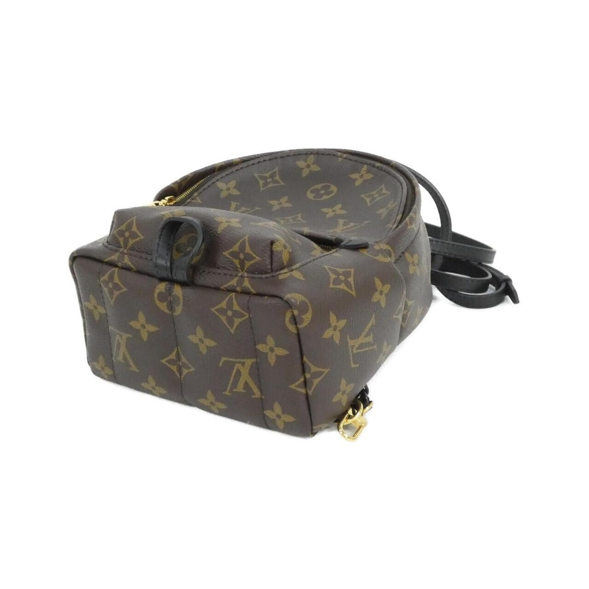 Louis Vuitton Monogram Palm Spring Backpack Mini Sac — view 3