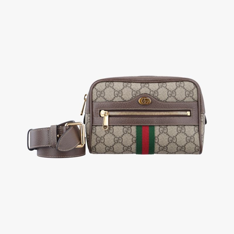 Gucci Ophidia Brown X Red X Green PVC Coated Canvas X Leather 517076 F026464730