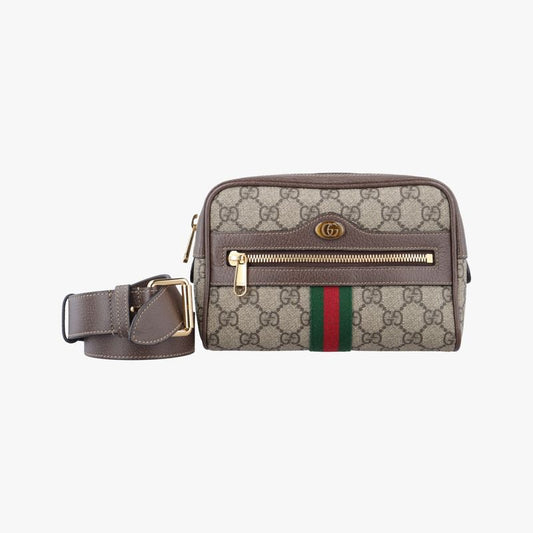 Gucci Ophidia Brown X Red X Green PVC Coated Canvas X Leather 517076 F026464730