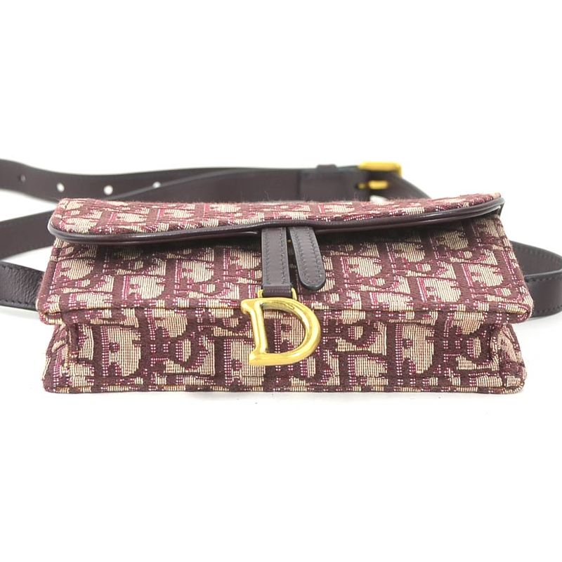 Christian DIOR Belt Bag Waist Bag Trotter