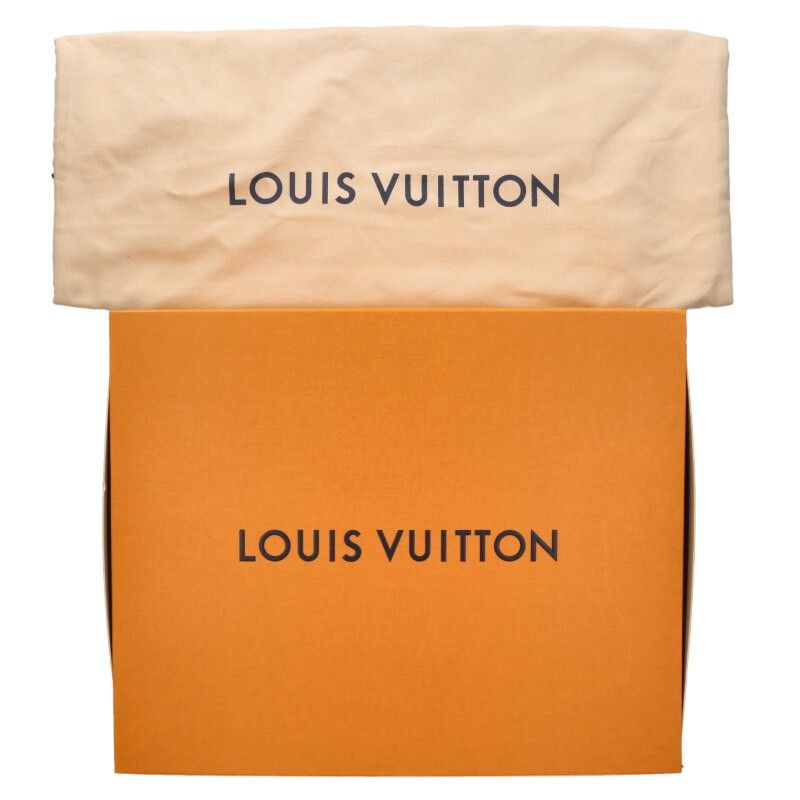 Louis Vuitton M43735 Christopher Monogram Macassar Backpack Men's MM